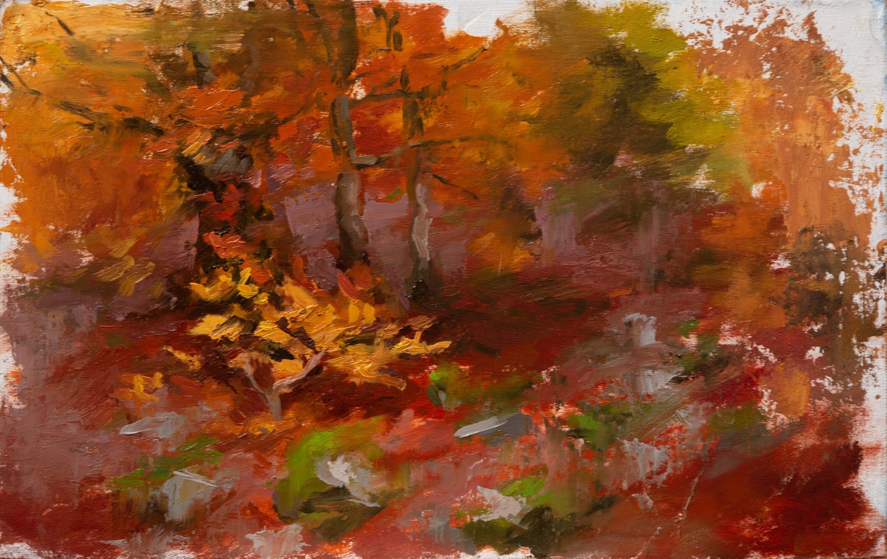 Hayedo en Otoño - 2